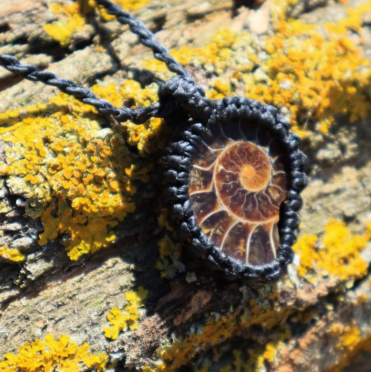 Ammonite Pendant - Image 3