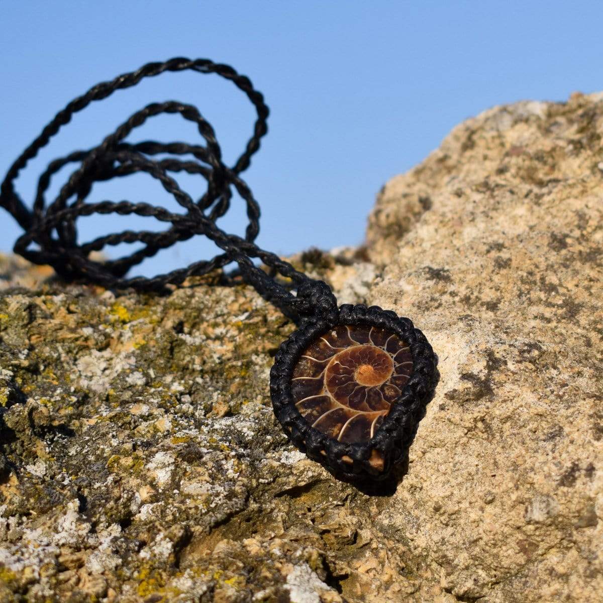 Ammonite Pendant - Image 4