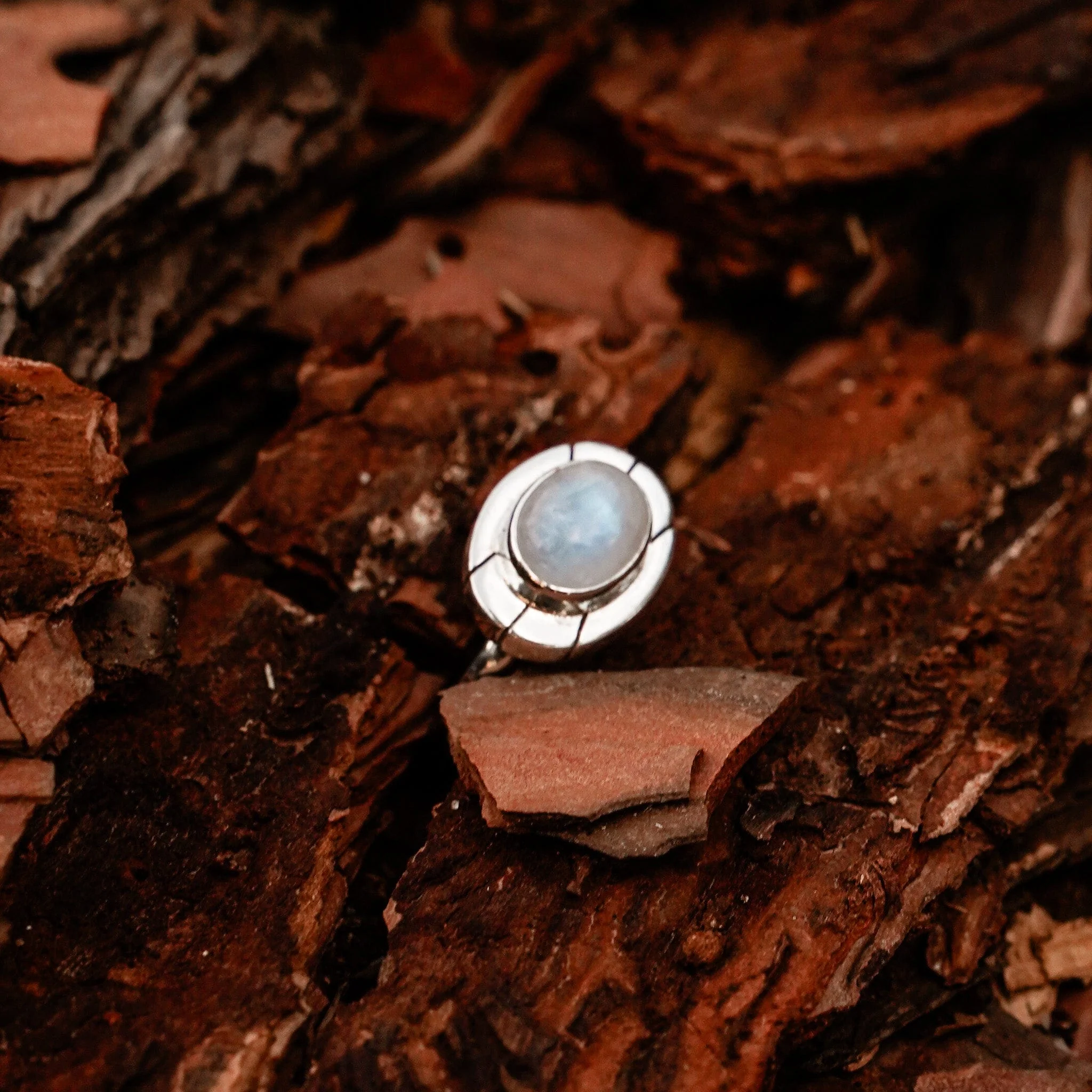 Beneath The Moon Ring - Image 4