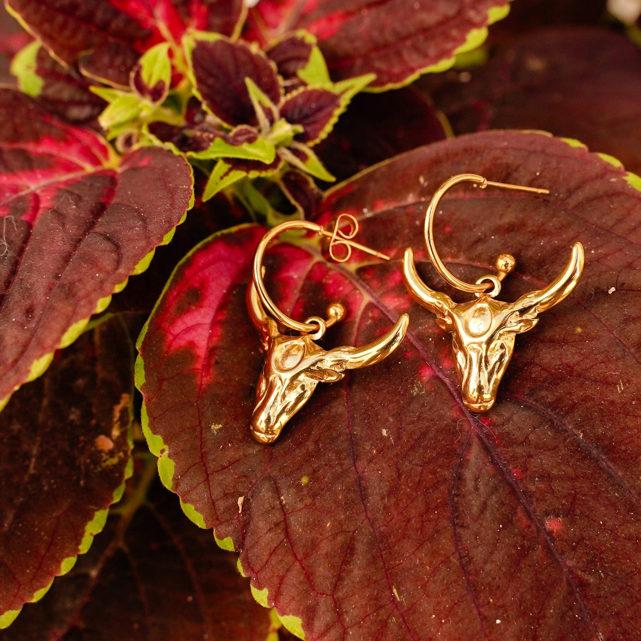Dune Warrior Earrings - Image 3