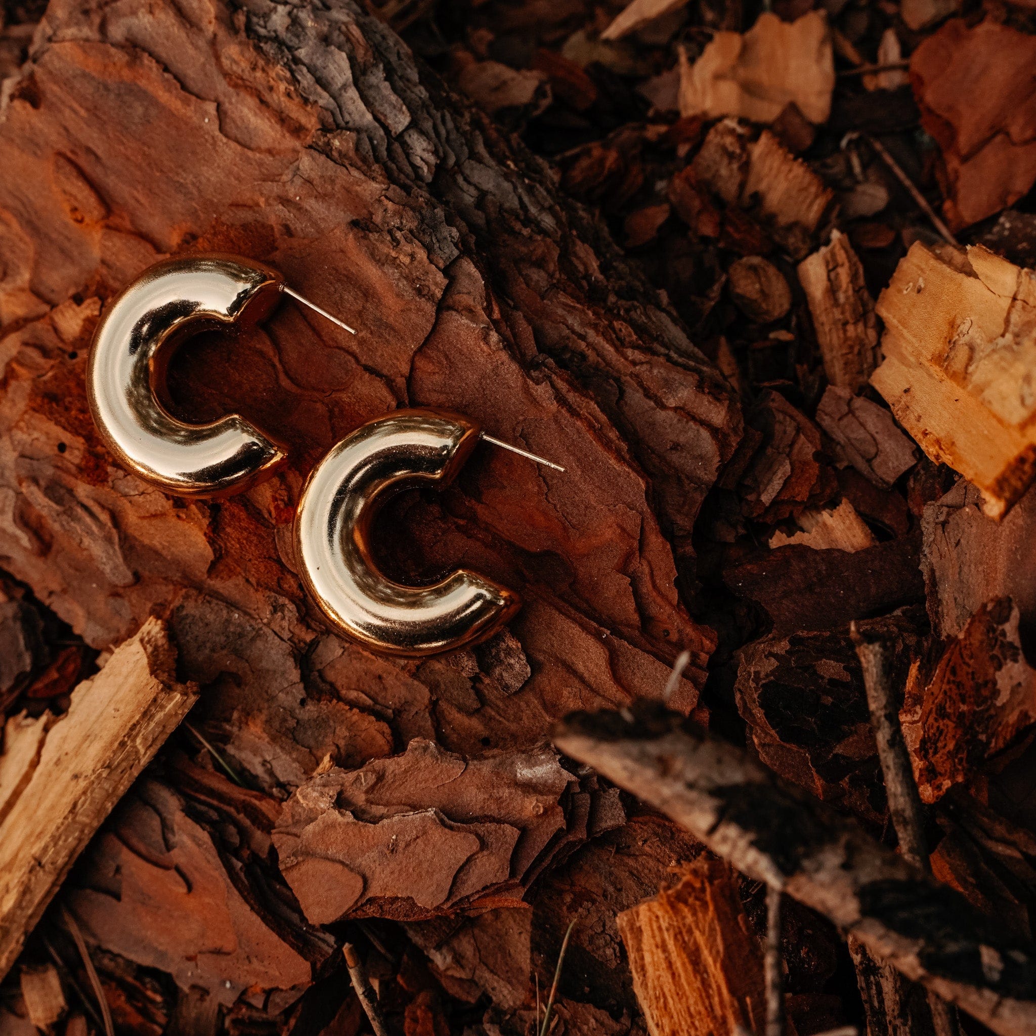 Ely's Hoops Earrings - Image 4