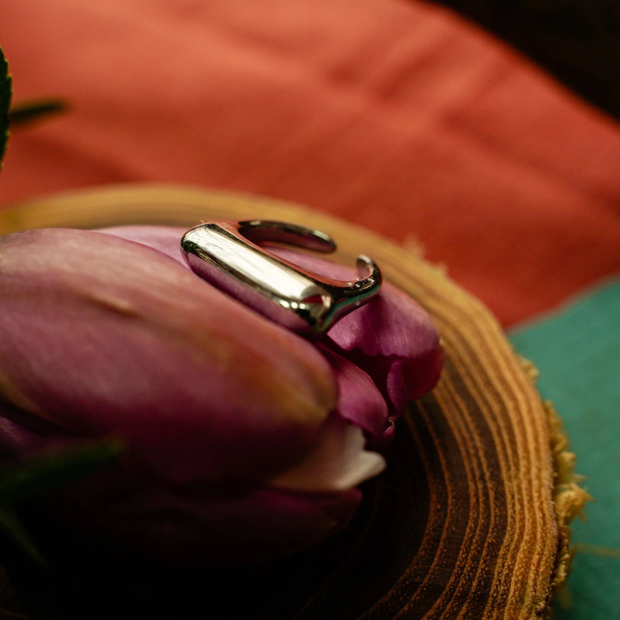Fresh Ring - Image 4