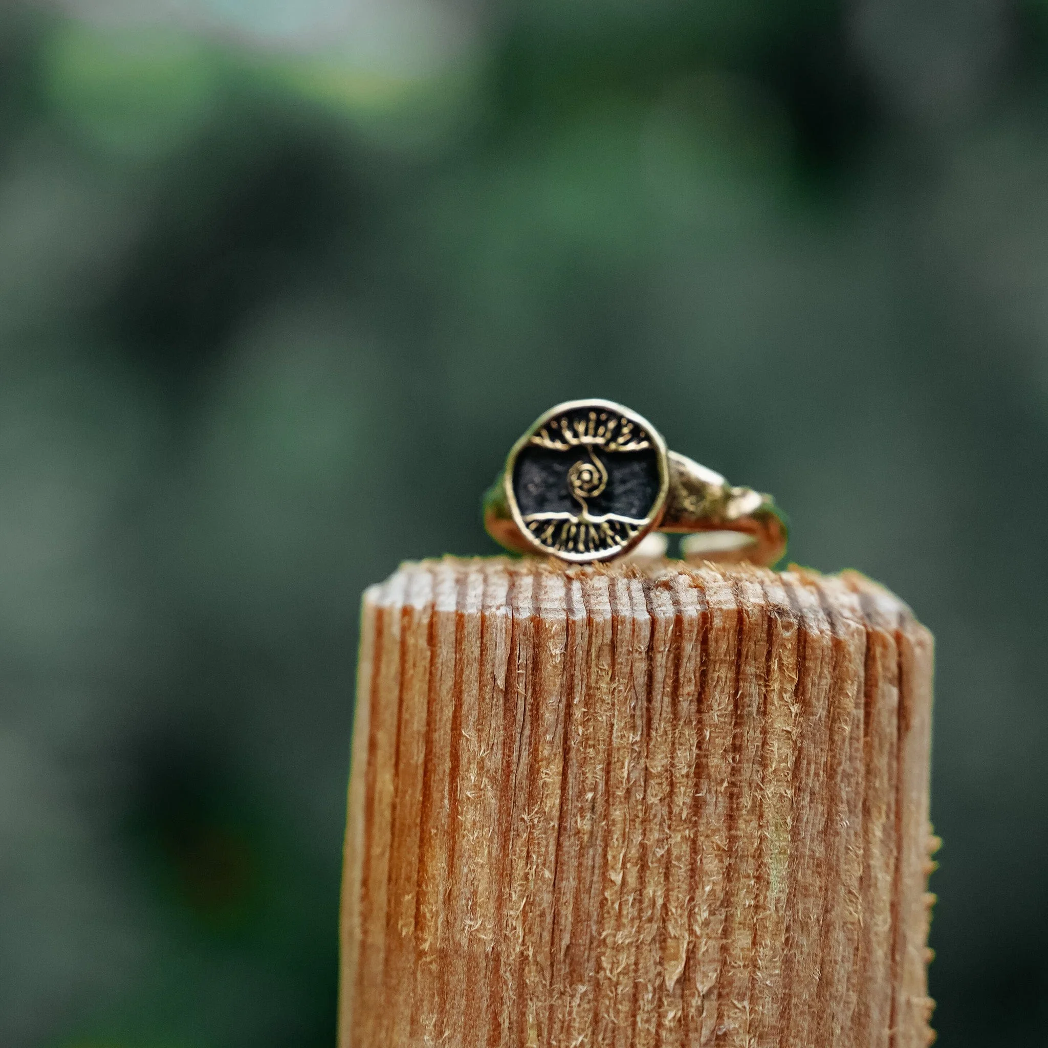 Roots Ring - Image 2