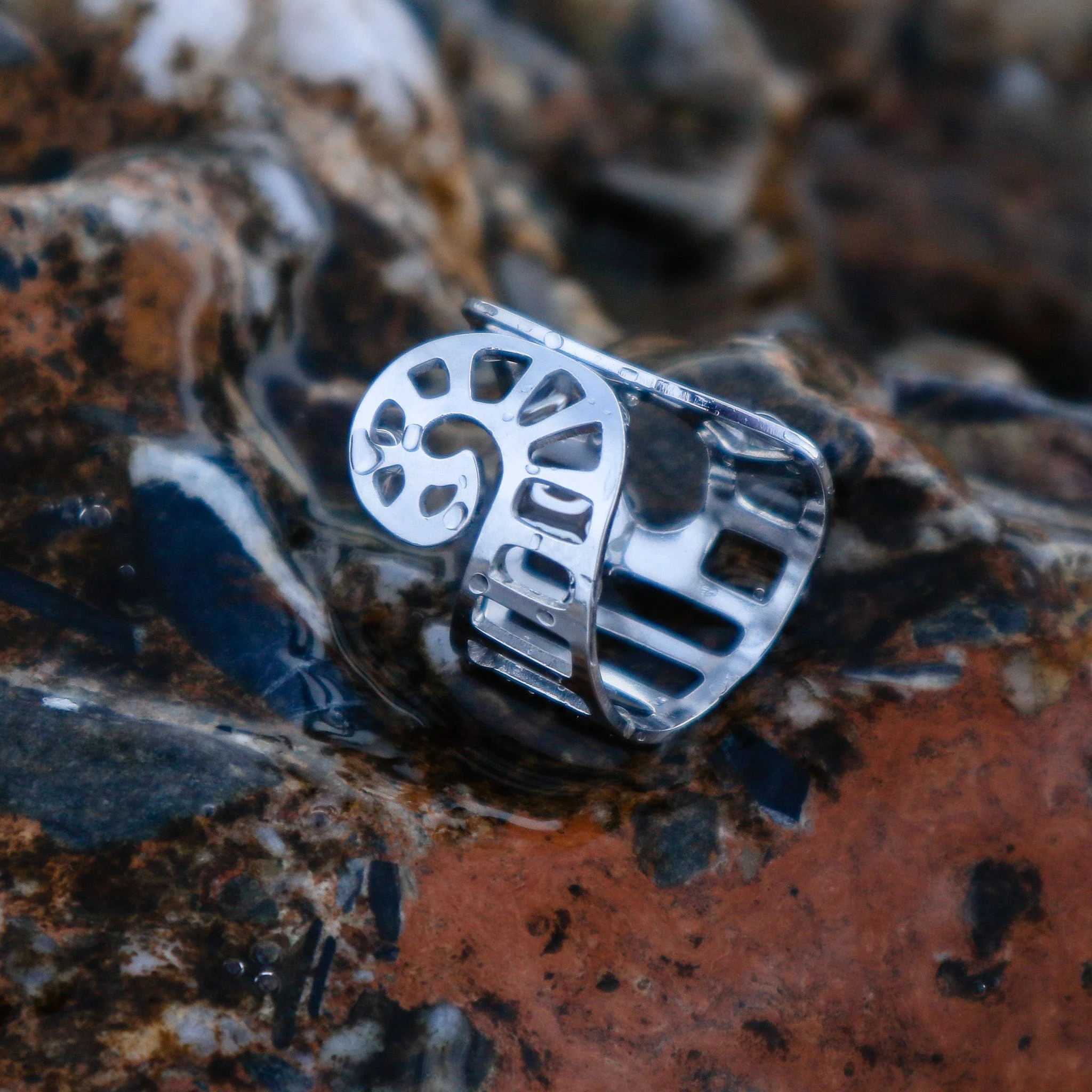 Shell Ring - Image 4