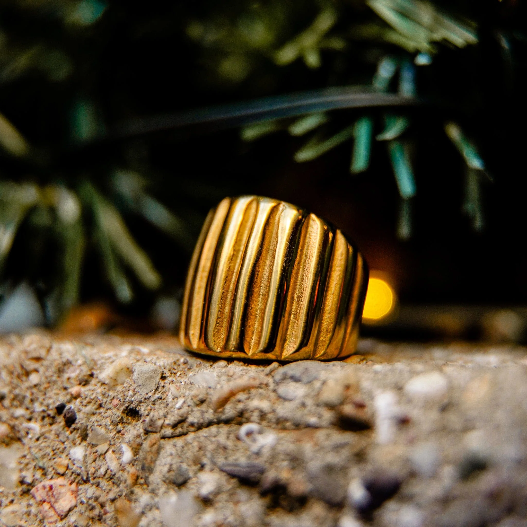 Shining Ring - Image 5