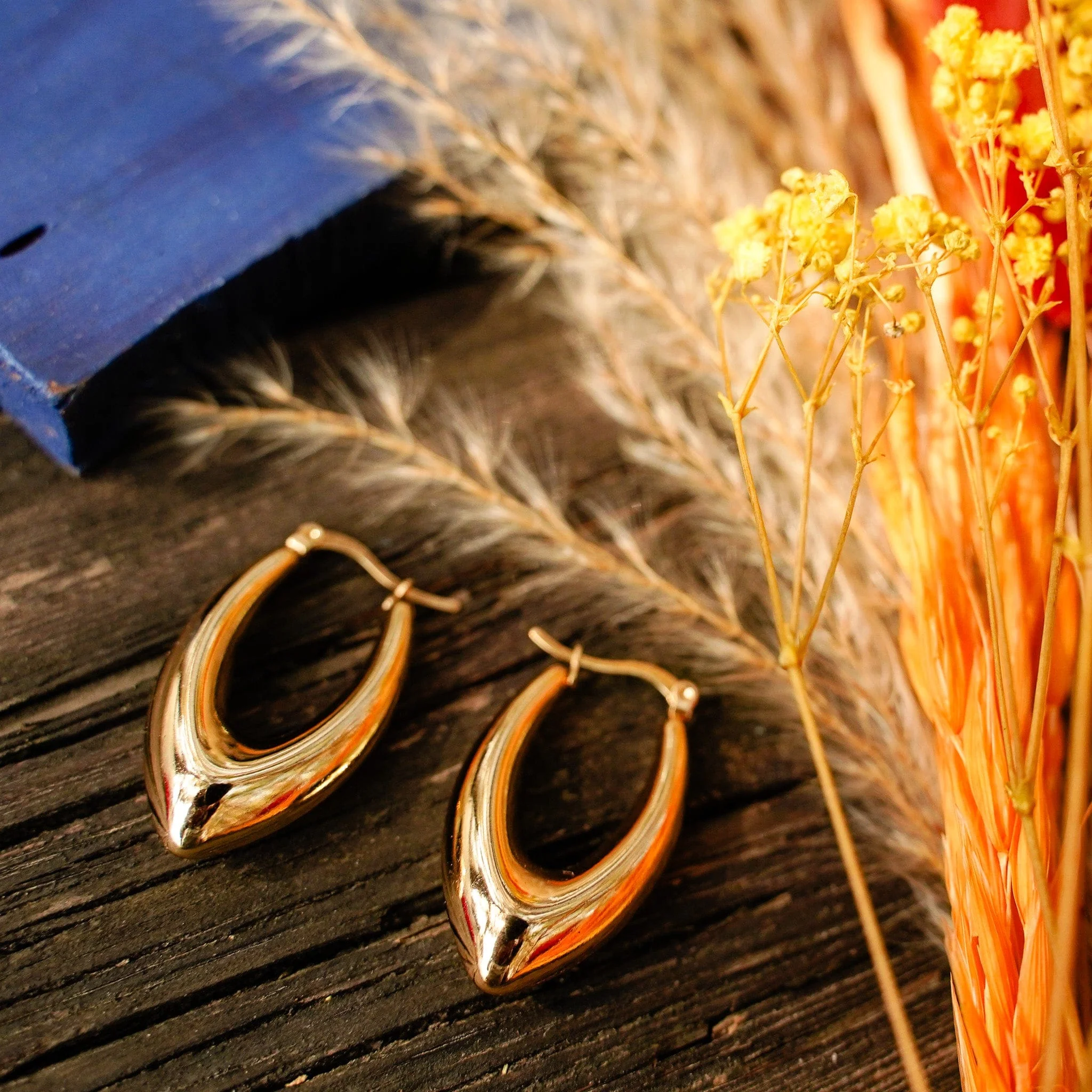 Sole Earrings