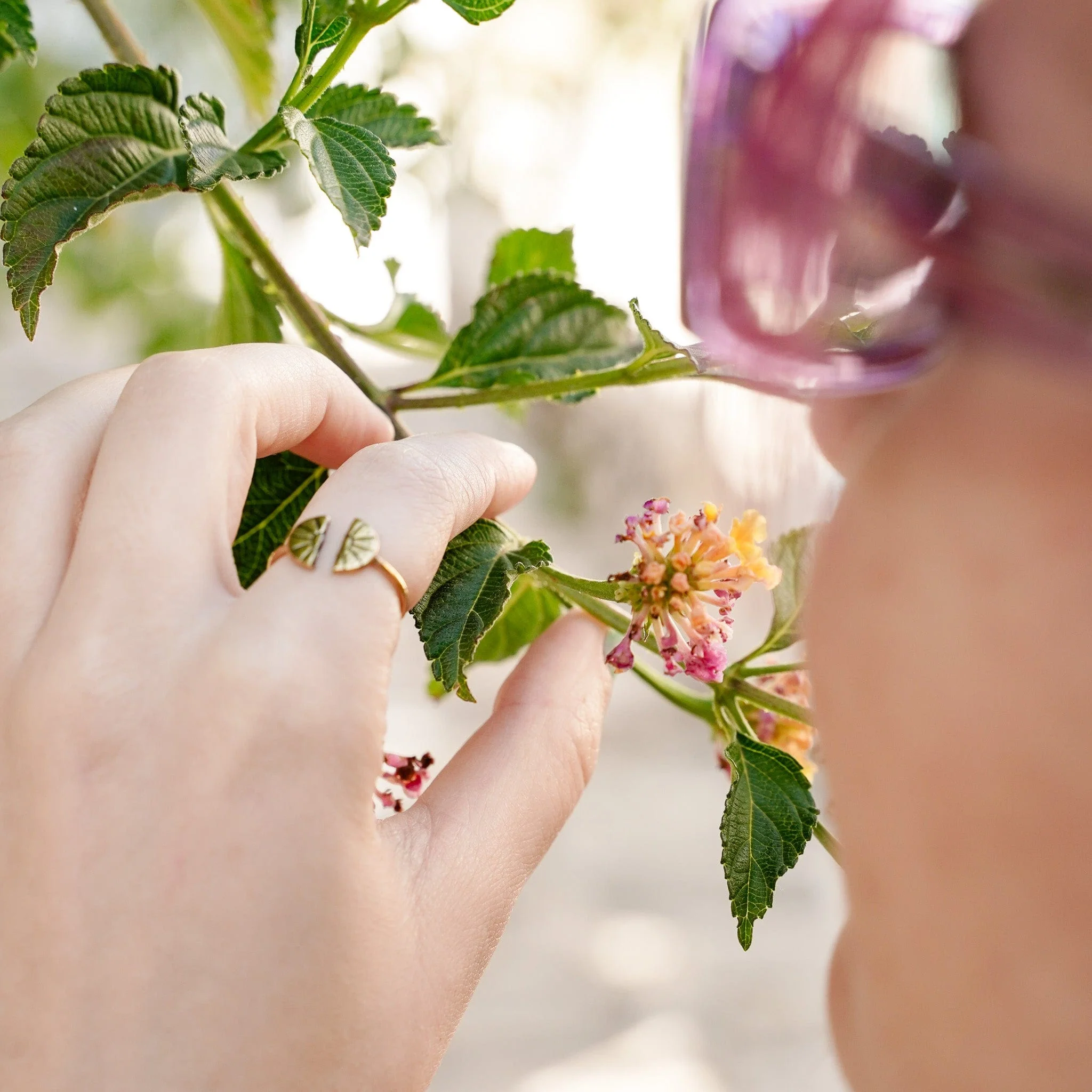 Sunbreak Ring - Image 2